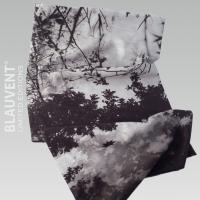 Neckwarmer: Faded Leaves